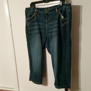 Democracy AB jeans size 24 capri